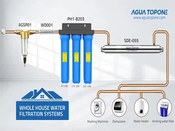Íonú Fisiciúil Glan agus Frithscála